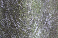 Woodgate fibreglass roof work